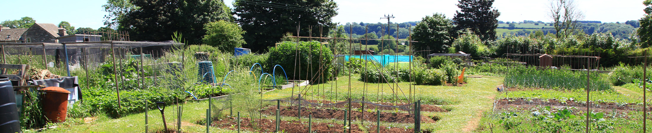 Allotments