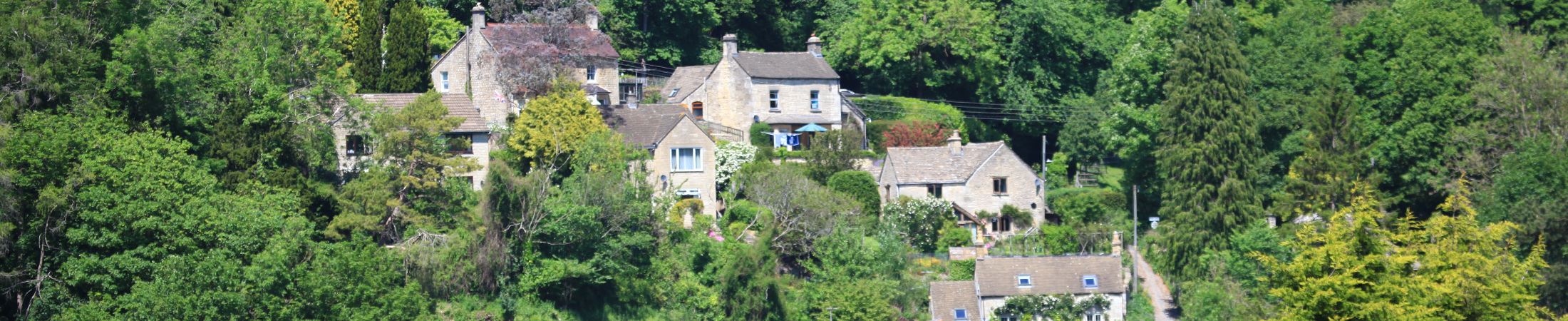 Houses on the hill with trees