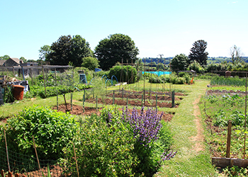 France Lynch Allotment Site