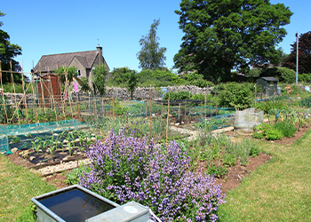 Middle Hill Allotment Site
