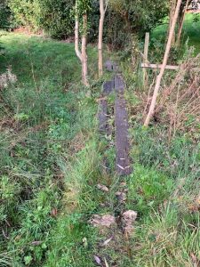 Bridge Half Buried under foliage