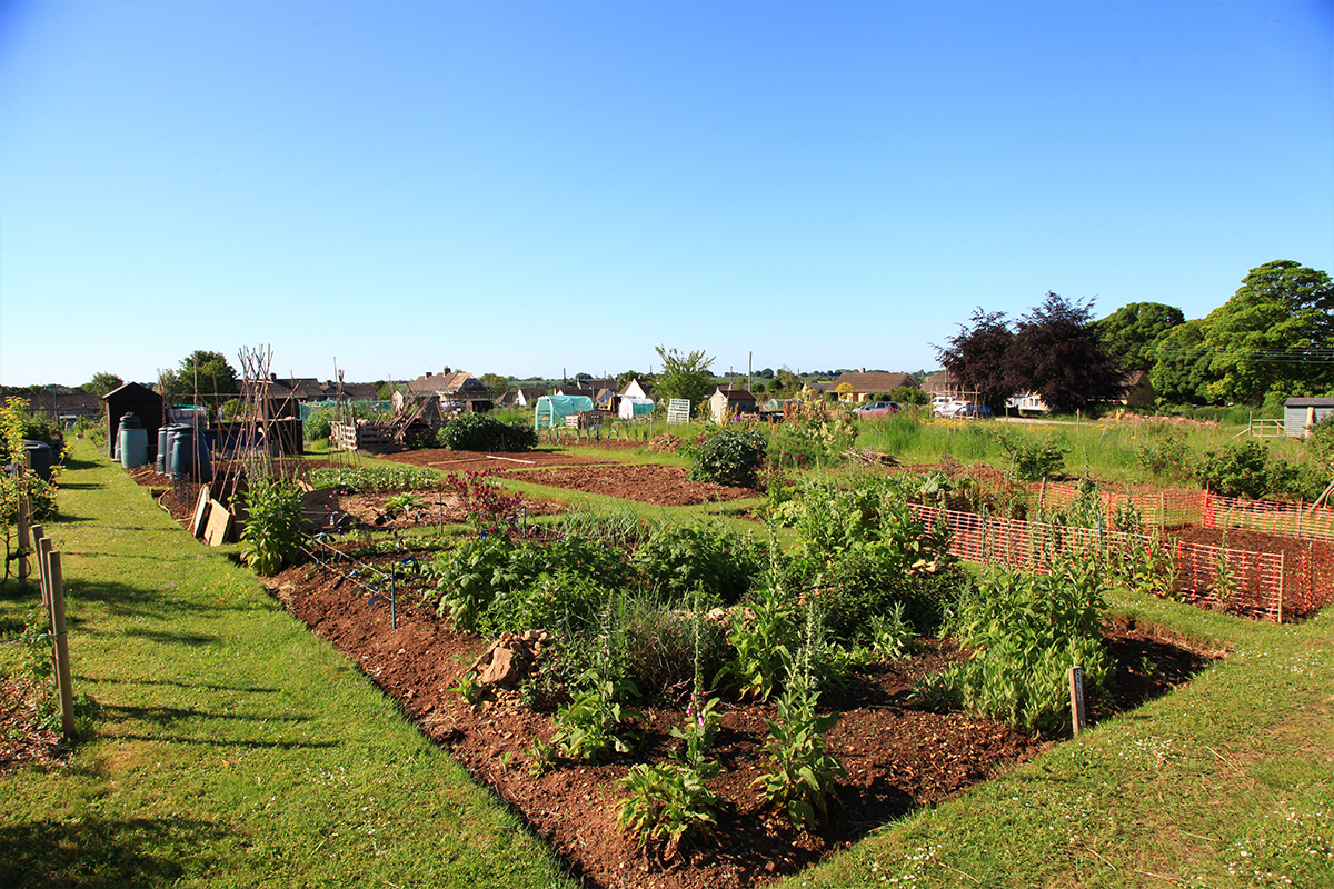 brownshill_allotments