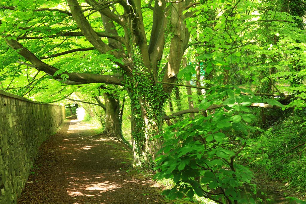 canal-path