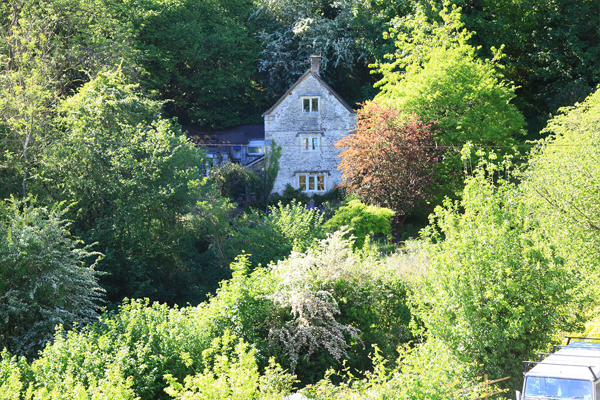 house_and_trees