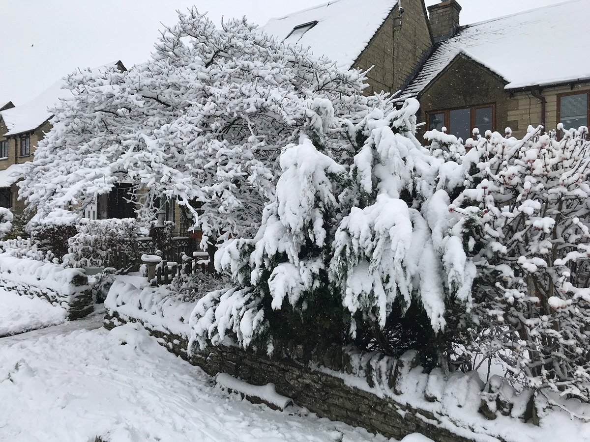 houses-in-snow-2