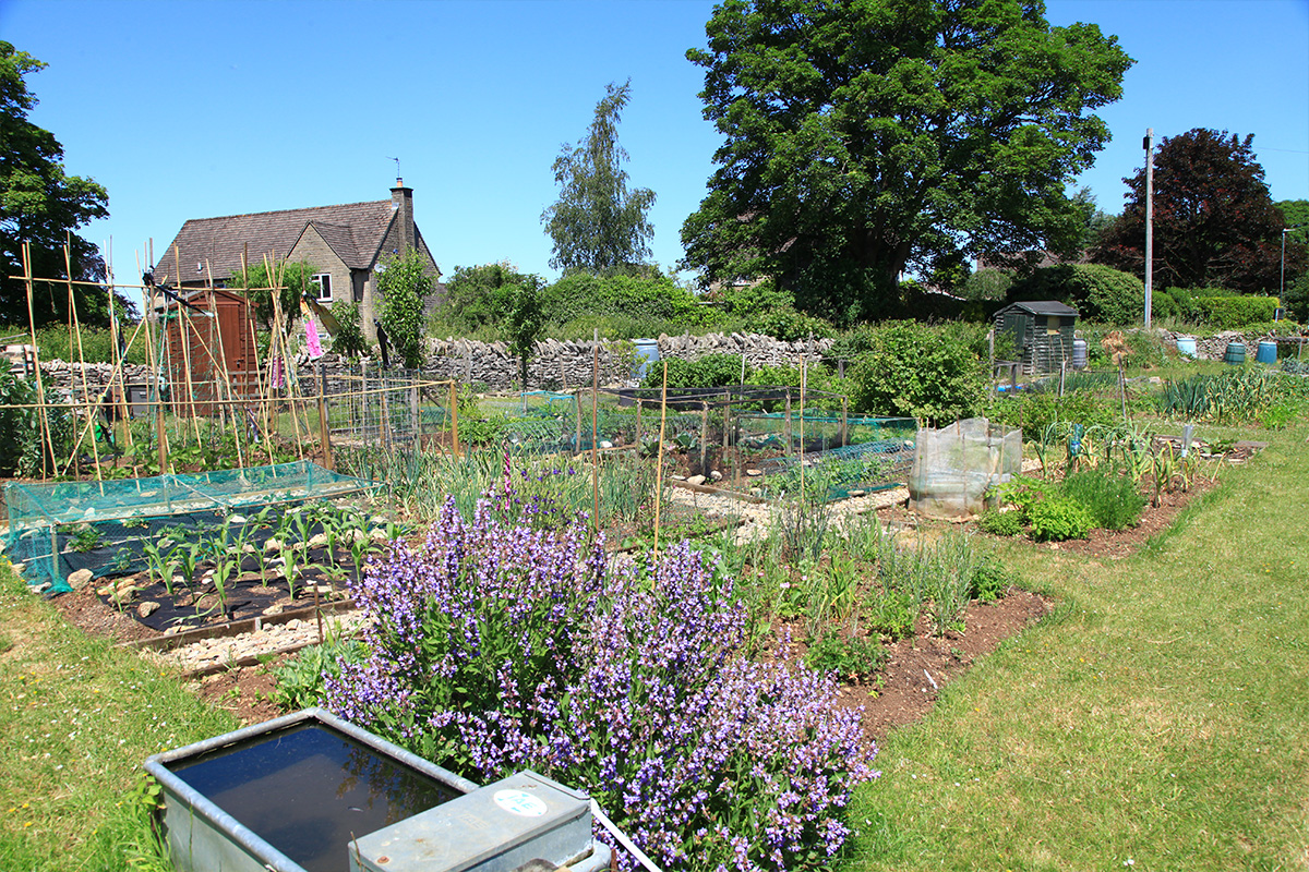 middle_hill_allotments