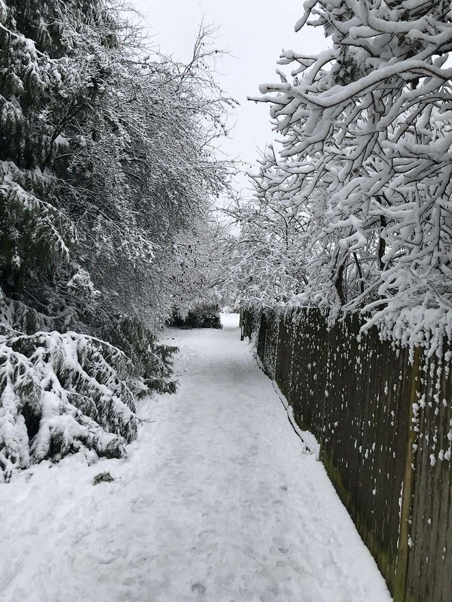 path-in-snow